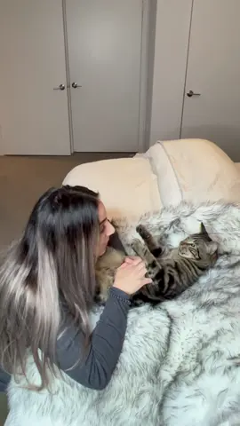 I felt so bad 😭 #fyp #foryou #foryoupage #catsoftiktok