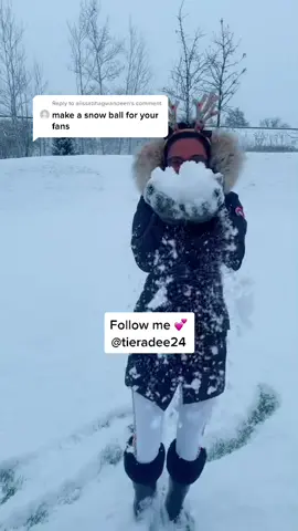 Reply to @alissabhagwandeen  Reply to @alissabhagwandeen #fyp #foryoupage #holidayaesthetic #askontiktok #snowball #letitsnow #havingfun #holidaymusic