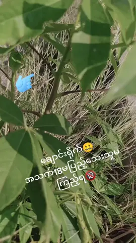 18နှစ်မပြည့်သူမကြည့်ရ🔞