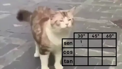 Aquela música que te salva na prova! (funk da trigonometria) #tentenãorir  #gatoengracado , #fank , #tenten