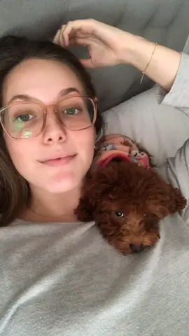 🤎🤎🤎🤎🤎 #fyp #dog #poodle