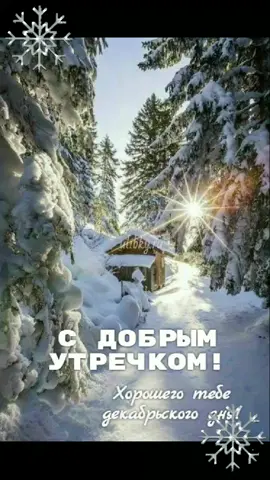 #доброеутро #утро #утродоброе #Стабилизируй #рек #врек