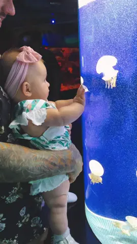 🐟🐠🐡 #cutebaby #babiesoftiktok #babytok #babytiktok👶🏻 #babytiktoker #babyfever #babymodel #excusememiss #fypシ