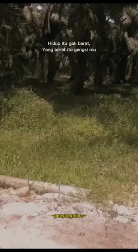 apa lagi Nang paling barat sanak😂#kalimantantengah❤️ #4x4offroad