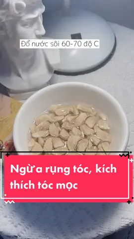 Tip ngừa rụng tóc, kích thích tóc mọc dài nhanh💋💋 áp dụng đi nhé các nàng 💓 #sophia #beauty #trend #xuhuong