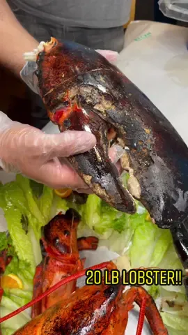 20 lb lobster! Smash or pass? #lobster  #seafood #food #Foodie #Vlog #foryou #viralvideo #FoodTok #tiktokfoodie
