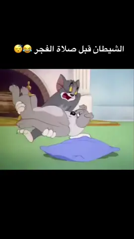 قبل صلاة الفجر يعطيك منوم 😂 #توم_وجيري #صلاة_الفجر #الا_صلاتي #tom_and_jerry #نوم #😴