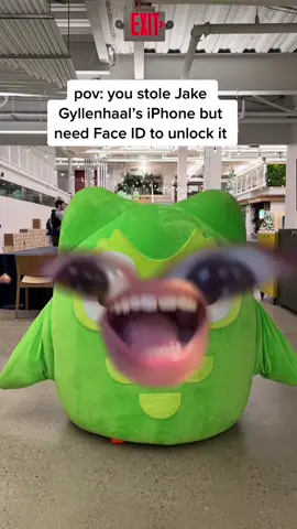 The only way to honor our queen today @taylorswift! #duolingo #swifttok #taylorswift #taylornation #redscarf #unlockit #jakegyllenhaal