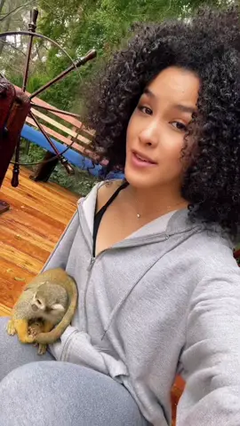 Es un tierno monito💛 // Instagram yildaoficial