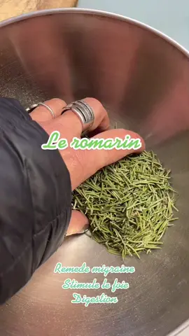 Mon metier, ma passion.. #naturopathe #plantesmedicinales #SmallBusiness #greenpowa #romarin