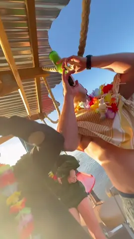 Surry Sunset Cruises?  #DecemberTreats #slur #party #college #trending #fyp #foryou #fy #slursnorkel #beersnorkel #dezember #sunset #boozecruise