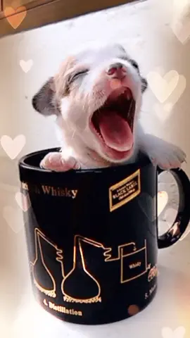#НЕтайноеобщество#Всем замечательного четверга!!! ♥️
