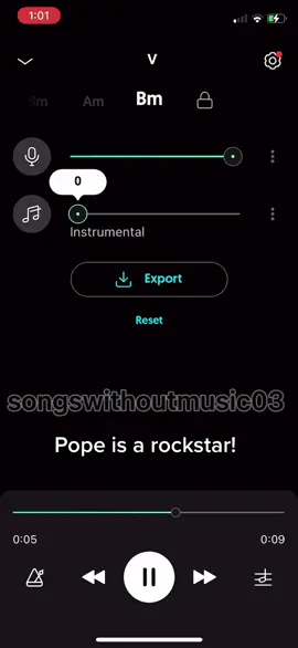 Pope 🥰 #fyp #foryou #foryoupage #suggestions #music #nomusic #voice