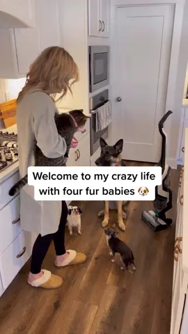 #ad For my pet lovers, I finally found a product that WORKS for all messes and pet hair! Vacuum and mop all in one with the BISSELL® CrossWave® Cordless Max Wet Dry Vac. @BISSELLClean #BISSELLClean #WeArePetParents