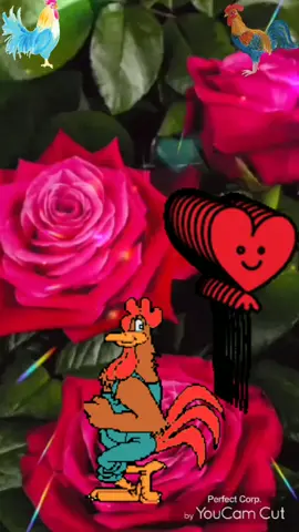 #доброеутречко