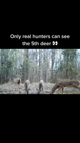 Where’s she at ? #cashapp13plus #MyBrawlSuper #deerhunting #games #game #howmany #hunters #huntingtiktok #trailcam #wildlife #animals #spartancamera