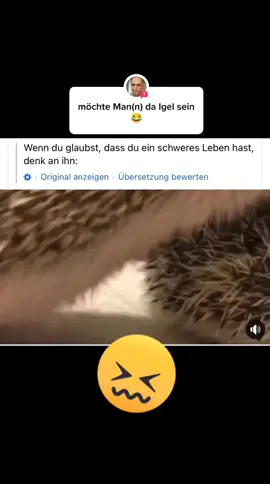 #frage von @nico.berner