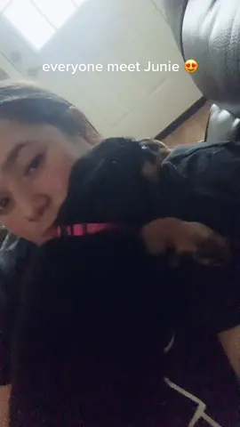 #rottweiler #fyp #puppiesoftiktok #cutie