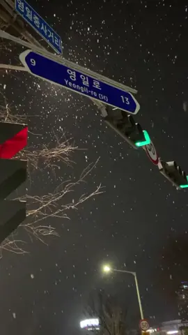 Snow in Seoul…☃️❄️🤍