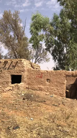 #يادار_وين_احبابي_اللي_ربوا_فيك  #اكسبلور #الزمن_الجميل #زمن_الطيبين #زمن_الطيبين_ذكريات #بيوت_الطيبين  #طين  #الطيبين  #تراث  #الزمن_الجميل #اهلنا_الاولين #زمن_البساطة_والنفوس_الجميلة #قديم  #قديم_زمان_اول  #قديمك_نديمك_ذكريات🌹🌹