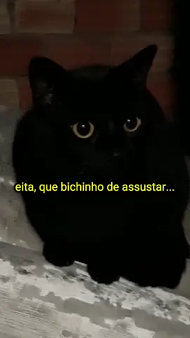 ⚠️ Perigo de xonar nessa 