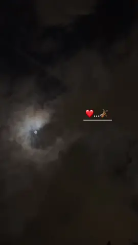 #يانسيم اليل ماهذااسؤأل.يانسيم اليل قد احرقتني🖇#fypシ #foryouتصميمي🖤 #fyp #funny