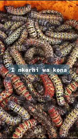 #masonja #tsongatiktok🔥🔥🇿🇦 #xitsongatiktok #xitsongamahlweni #matomani #xitsongatiktoker❤️ #swakudya #matsongamachangani #tsongatiktok🔥🔥🇿🇦