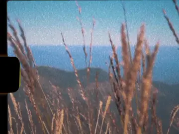 MOONLIGHT ROMANCE#foryou #fyp #xyzbca #retrovibes