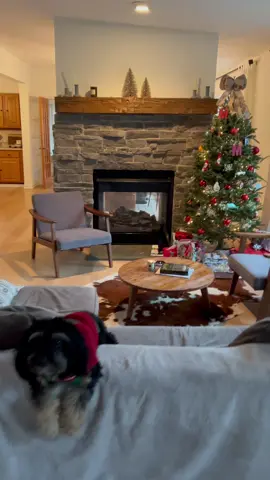 Christmas cheer