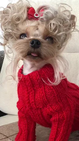 Ответ пользователю @user376843183046  Так и есть ❤️👍🔥 #fypシ #on #for #дуэт #дуэты #длядуэтов #ктотебясоздалтакую