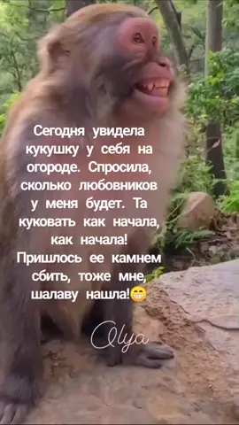 Всем хорошего настроения😁#врекомендации#смех#