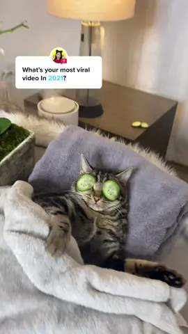 Answer @im_siowei He really said “do not disturb” 😭 #fyp #foryou #foryoupage