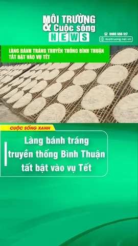 Làng bánh tráng truyền thống Bình Thuận tất bật vào vụ Tết #baomoitruongvacuocsong #moitruongtv #tiktoknews #onhaxemtin #hoaduong #songkhoe247