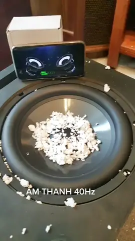 Đồ đạc trong nhà rung cầm cập khi mở âm thanh siêu trầm #eway301 #MeoHayAudio #LearnOnTikTok #xuhuong