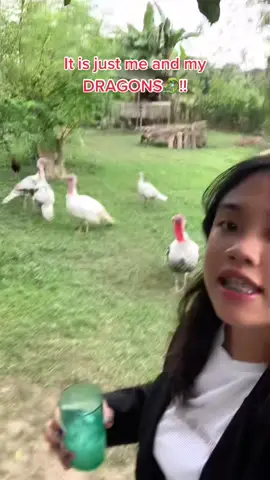 Roar dragons roaarr!!