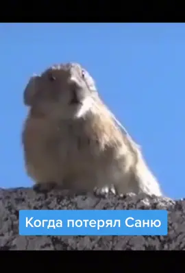 #прикол #ржач