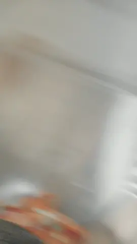 Los bellos de mi brazo < 3 #ecuador🇪🇨 #crzgf #viral