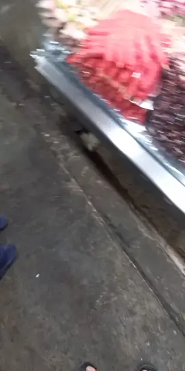 شواء تاع بيلام في الحراش افضل شواء في العالم🍗🥩🥩🌭💪💪🇩🇿🇩🇿