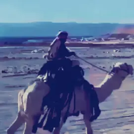 #مساء_الخير_يا_وجوه_الخير_متابعيني_من_وين_ماكنتو #مساء_الخير_يا_وجوه_الخير🌹😘🌹😘🌹💗🎀🌷🎈💗