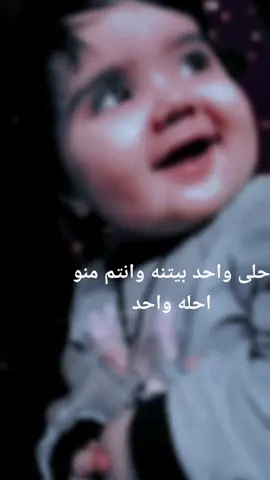 #لايج💞🔫 #سماوه #تحشيش #لبنان #سماوه #تحشيش #بني لام