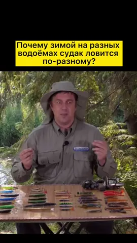 Было полезно?🐟 #рыбалка