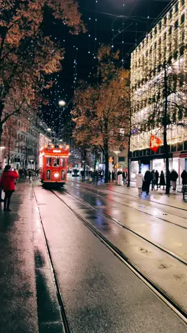 Merry Christmas🎄#swissroads #switzerland🇨🇭 #switzerlandnature #roadtrip #zürich #zürichcity #Switzerlandsnow✨ #swissbeautiful #sisiswiss #christmas