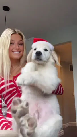 merry christmas🤍