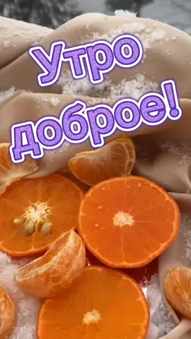 #сдобрымутром #доброгоутра #26декабря