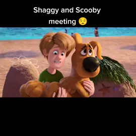 #scoob #scobydoo #shaggy #fyp #viral #viralvideo #fypシ #foryoupage #foryou