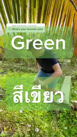 Reply to @krocodile_  Green #ฝรั่งกินฝรั่ง #thailand #สีเขียว #guava #ผลไม้