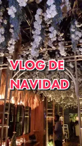 🎅🏽🎄 #navidad #Vlog #Vlogmas #rd #parati #fyp