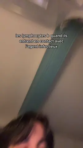 jsuis un gamin j’ai hooonte #spesvt #prepapass #lymb #bio