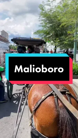 Yuk keliling MALIOBORO naik “Andong” 😊 #TemanHealing #viral #fyp #fypシ #berandamu #malioboro #andong #jogja