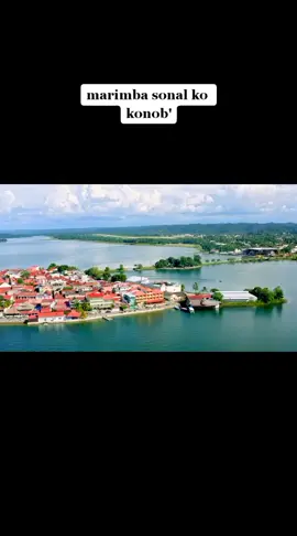 Marimba sonal ko konob' dedos de oro #pasRami502